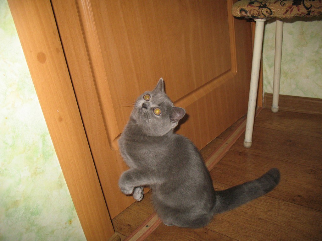 Еще один неплохой снимок