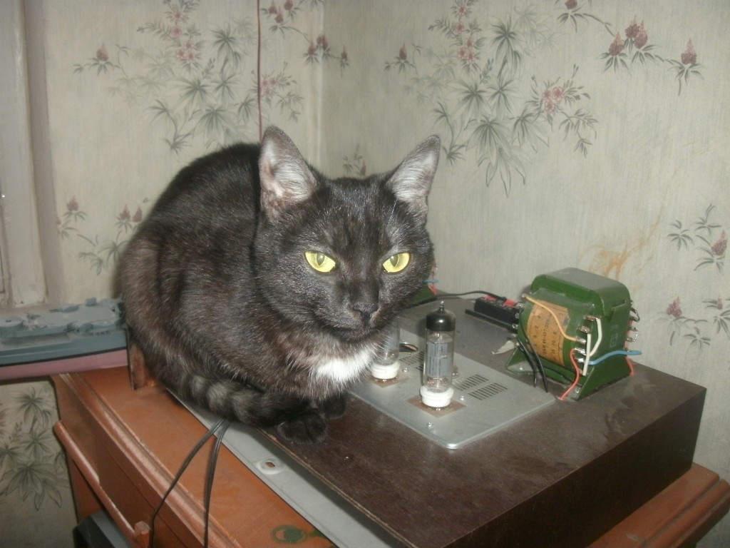 Любитель музыки!