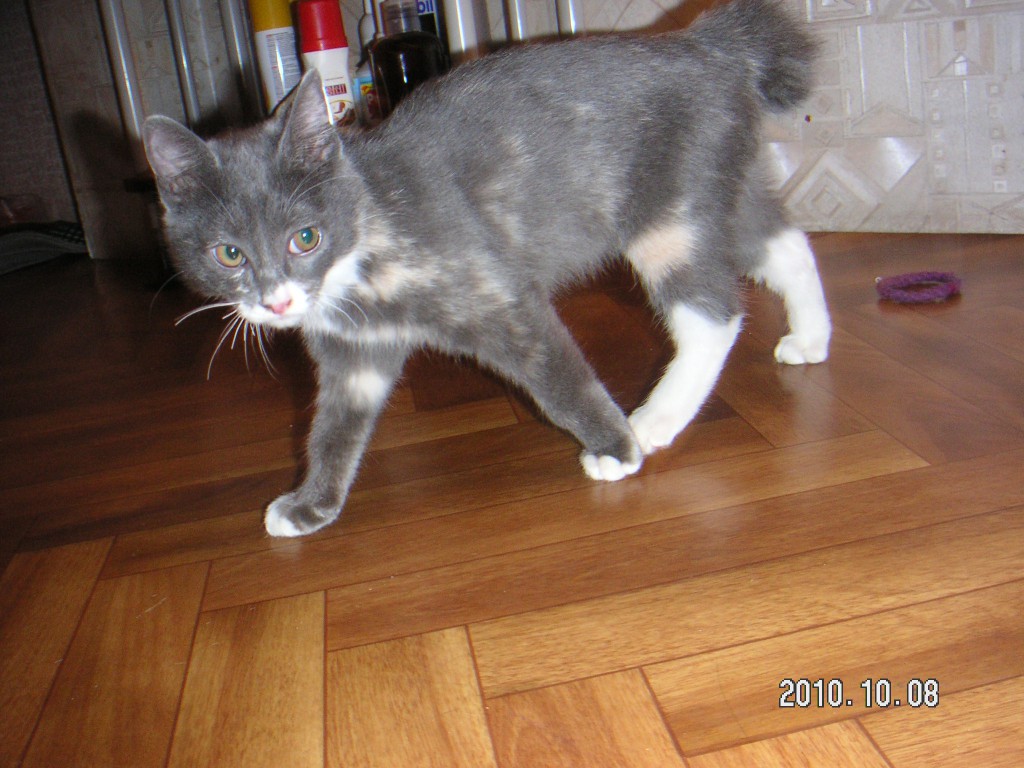 Еще один неплохой снимок