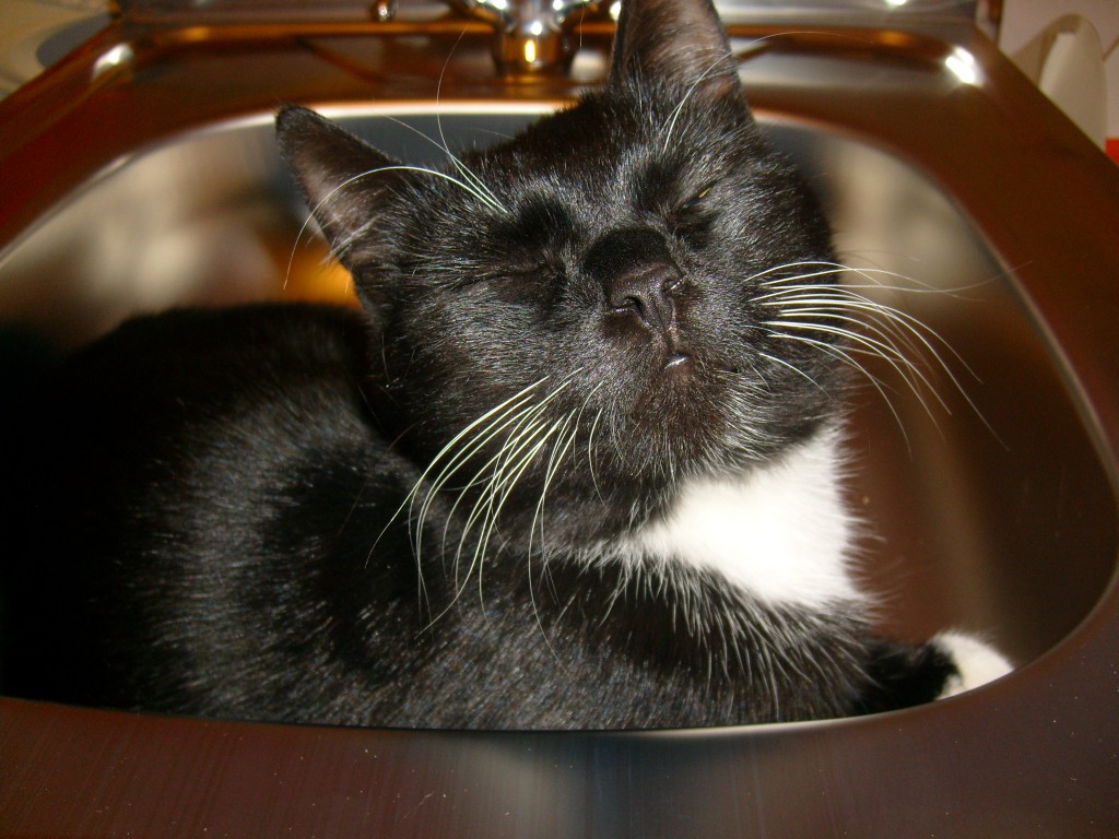 Не хочу воды, мне и так хорошо! Не хочу воды, мне и так хорошо!