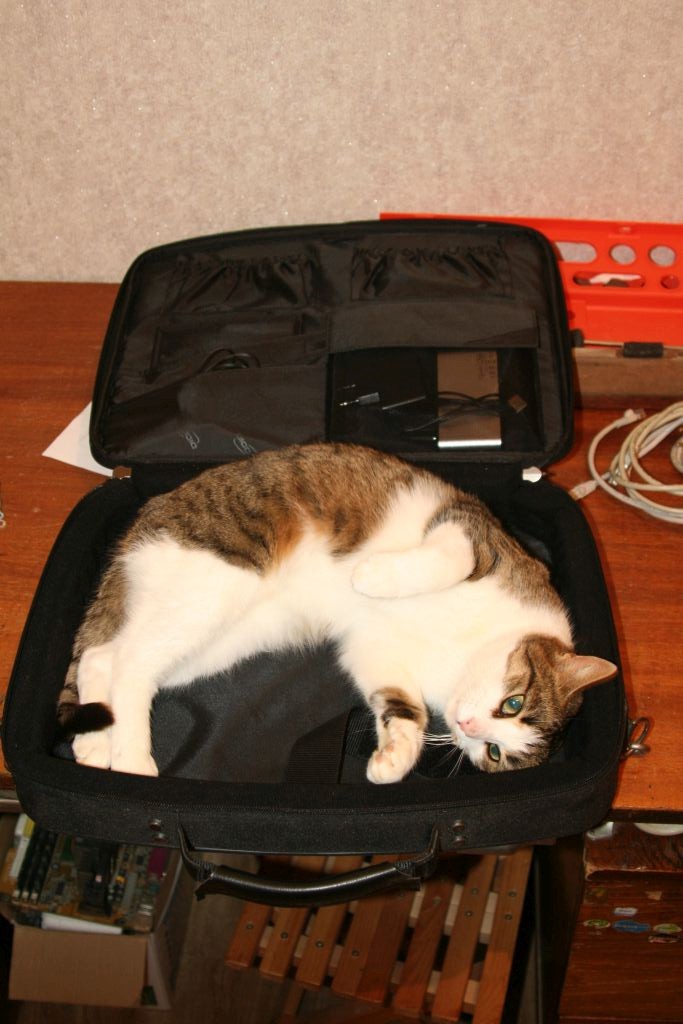 КОТЭbook Завершение работы