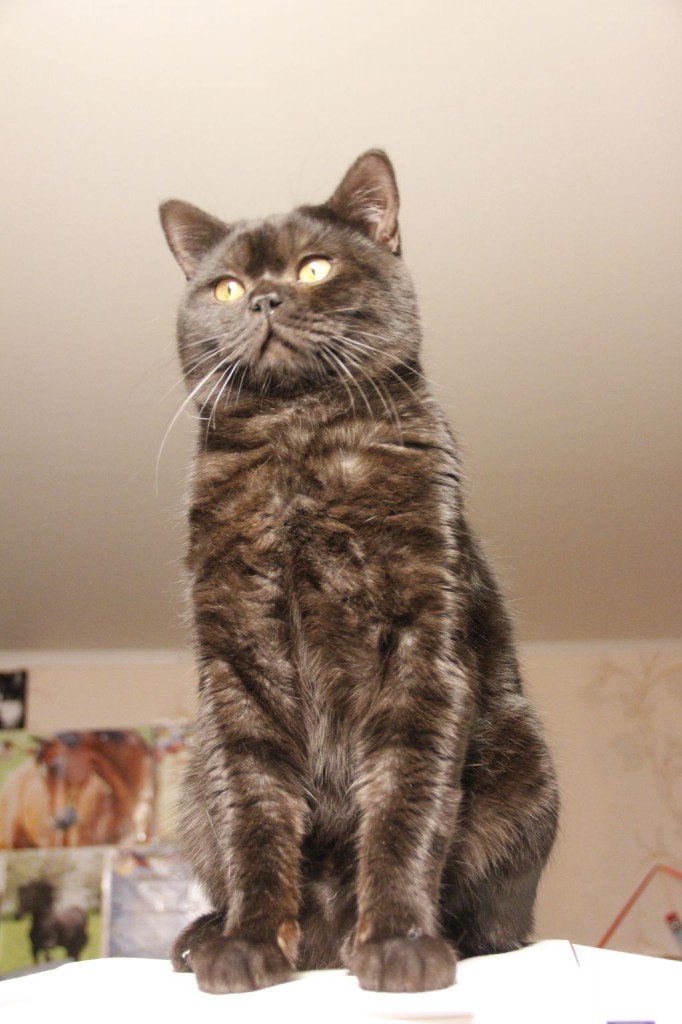 Картина неизвестного художника