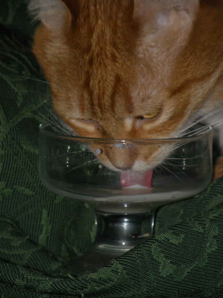 Ну уж коли в кроватку принесли....