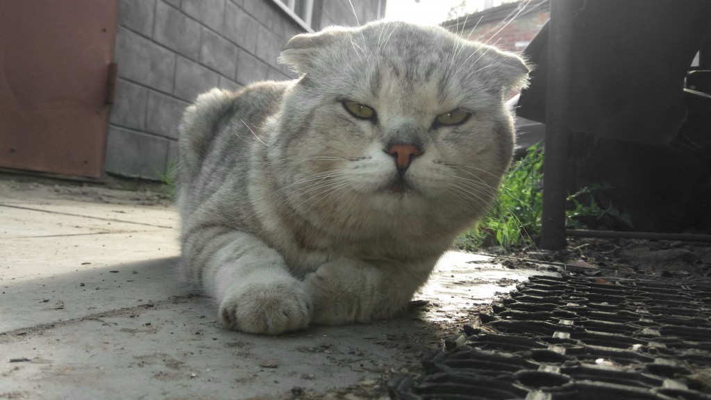 Еще один неплохой снимок