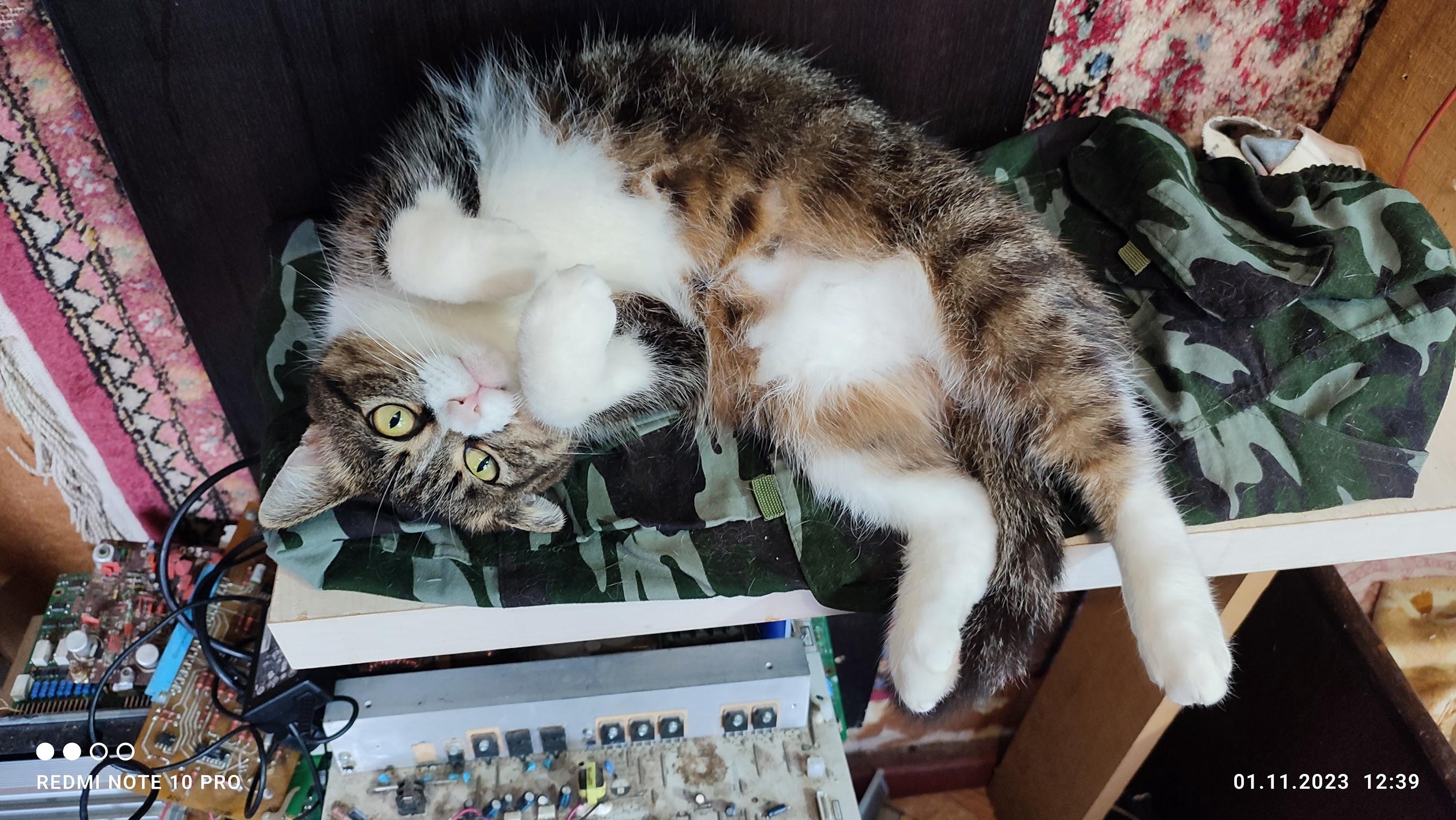 Фото ленивого автора