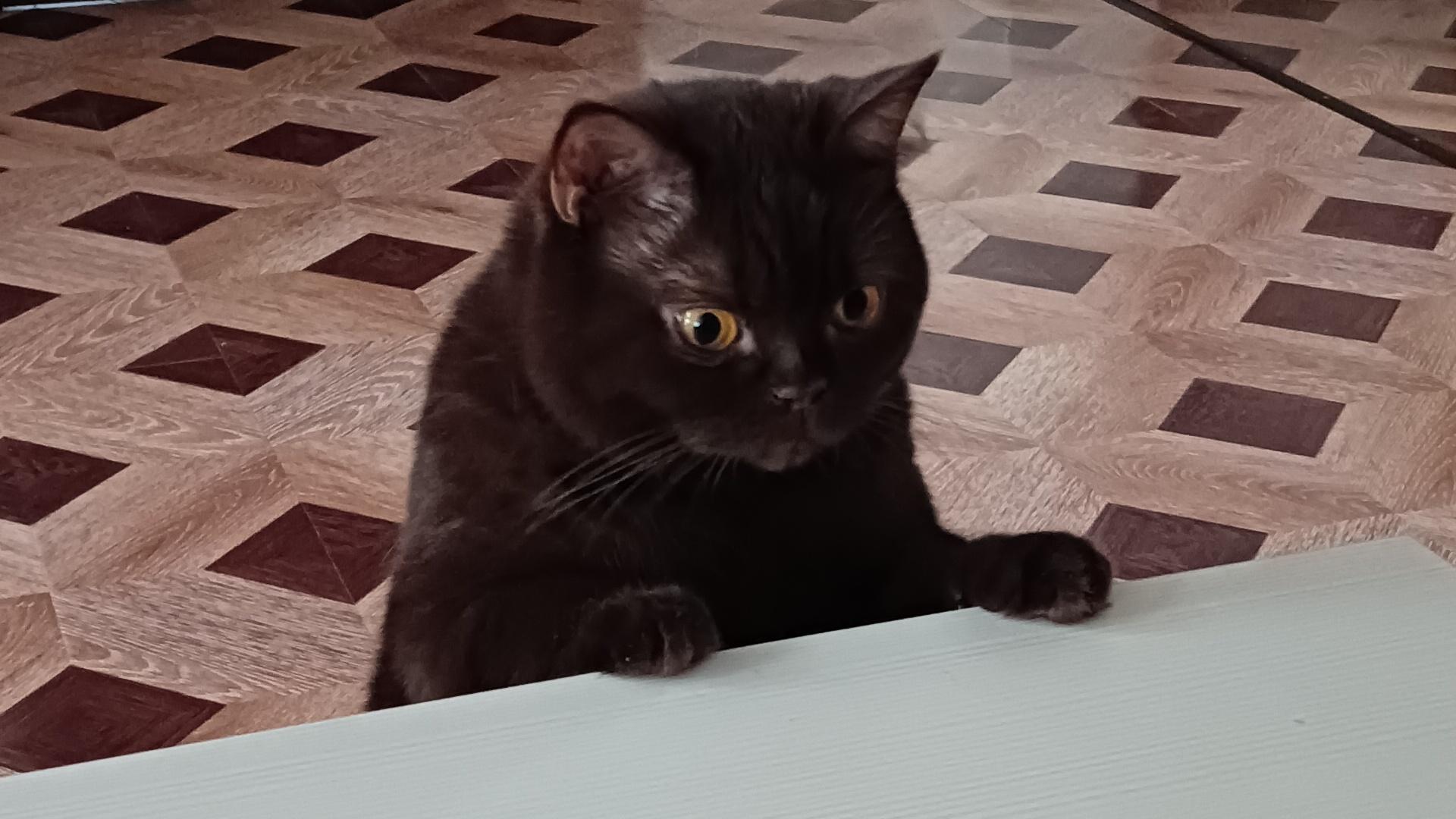 А что это вы тут делаете? А что это вы тут делаете?