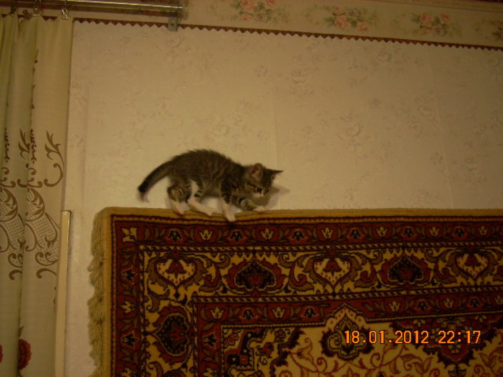 Во как.Сам в шоке!