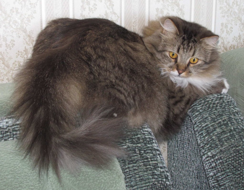 Чего бы отчебучить?