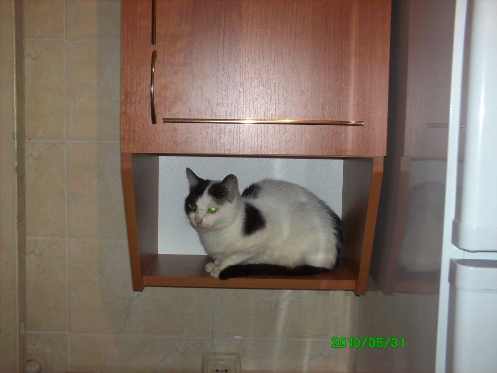 Новый домик в новой кухне.