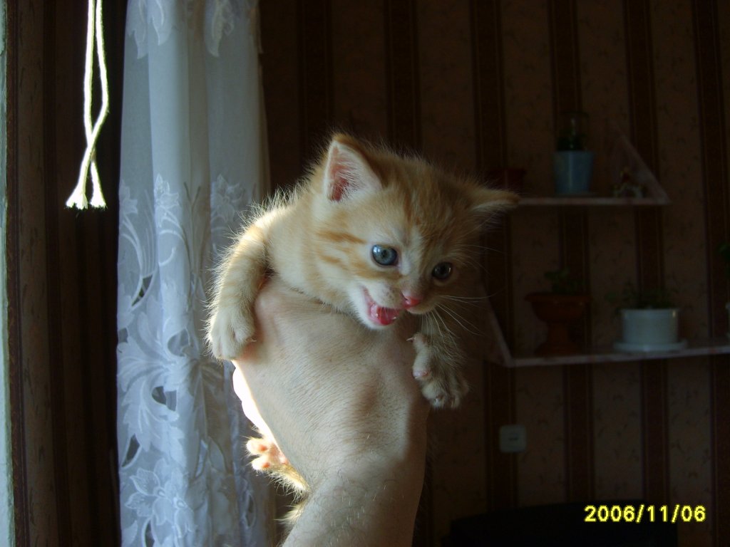 Тимофей:
Я родился!