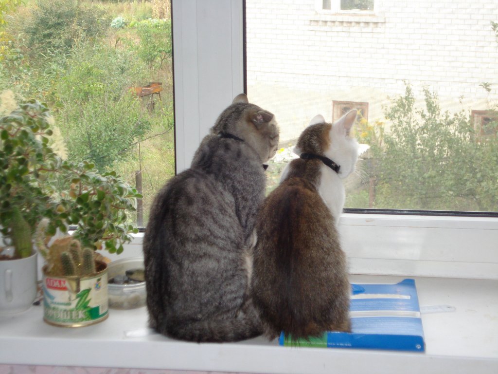 И чего у соседей нового?