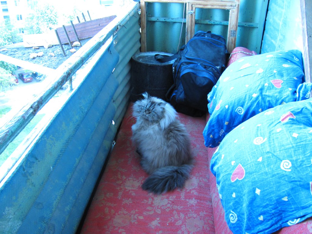 Абстрактное фото