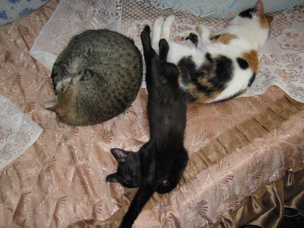 Отдых превыше всего!