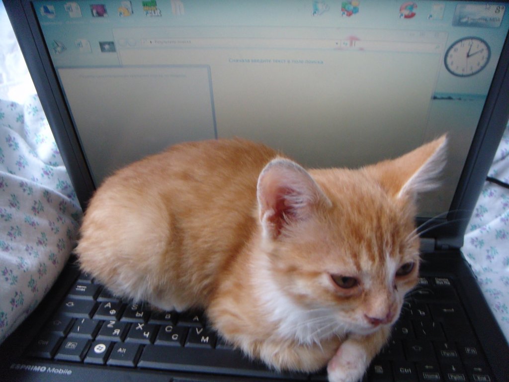 Поспать бы...