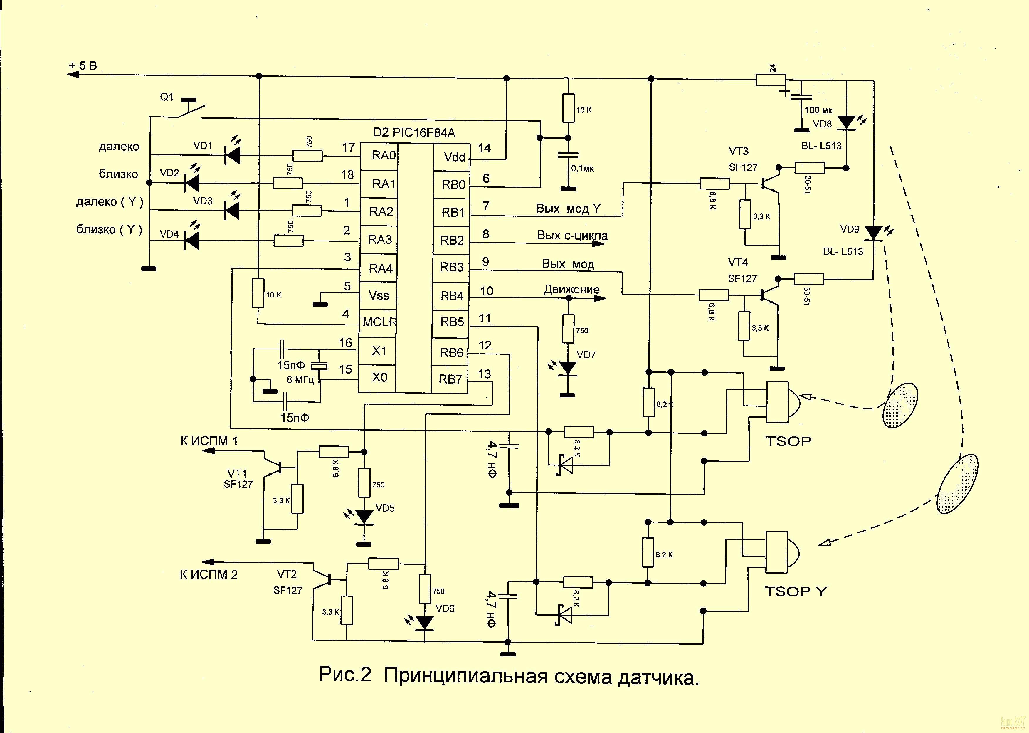 Радиокот