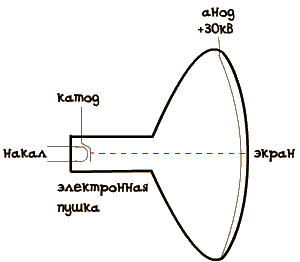 ЭЛТ в разрезе. Вид сбоку